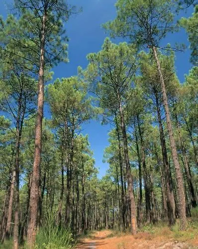 Habitación en casa particular Quiet Place *